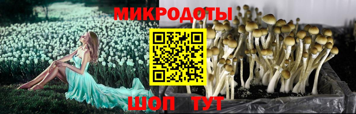 хочу   Псилоцибиновые грибы Cubensis  Вход с VPN  Барабинск 